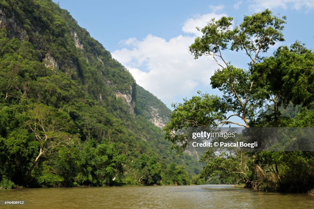 Forest and river, Ba Be National Park, north Vietnam