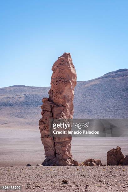 piedra del indio, salar de tara, atacama desert - região de antofagasta imagens e fotografias de stock