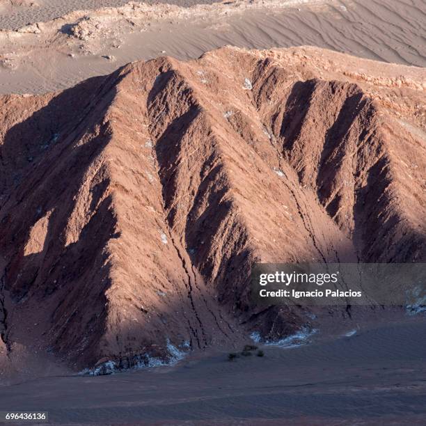 valle de la muerte at sunset, atacama desert - valle de la muerte 個照片及圖片檔