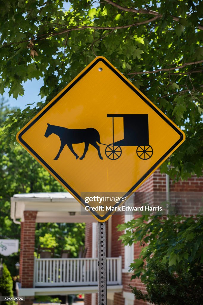 Horse and Buggy Crossing Sign, Lexington, Virginia