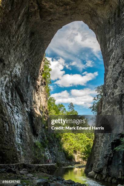 natural bridge, natural bridge state park, virginia - natural bridge state park stockfoto's en -beelden