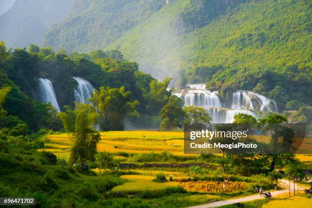 bangioc - detian waterfall - detian waterfall stock pictures, royalty-free photos & images