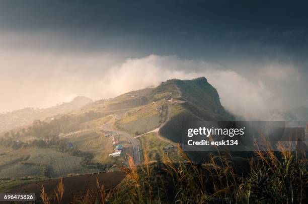 244 Sun Rong Stock Photos, High-Res Pictures, and Images - Getty Images