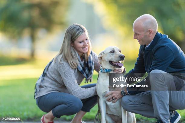 young couple take a summer stroll with their dog on a beautiful sunny day - dog park stock pictures, royalty-free photos & images