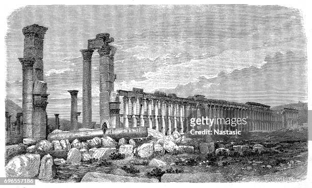 ruins of palmyra, syria - palmera stock illustrations