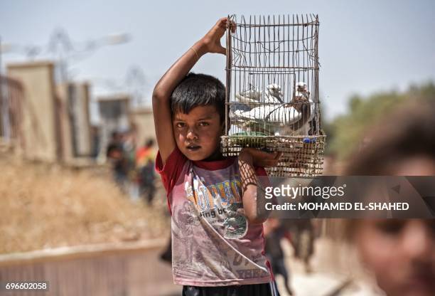 Displaced Iraqi boy carries a cage with pigeons as people arrive to a temporary camp at the compound of the closed Nineveh International Hotel in...