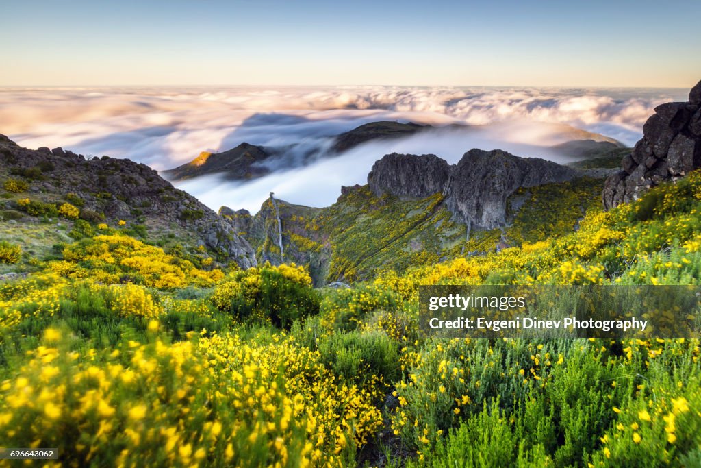 Madeira, Portugal - April 31, 2017: Mountain of Madeira, windy mountain meadow