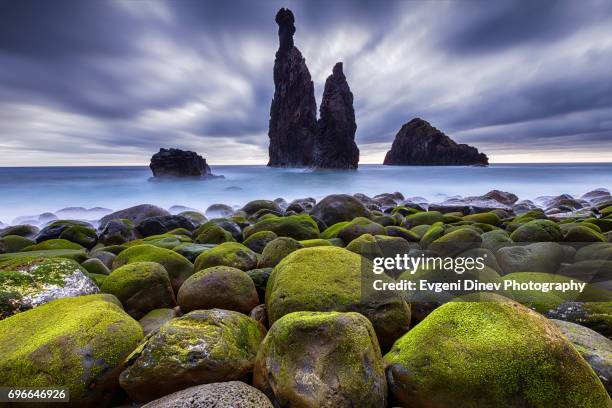 madeira, portugal - juny 2017: ribeira da janela coastline - janela 個照片及圖片檔