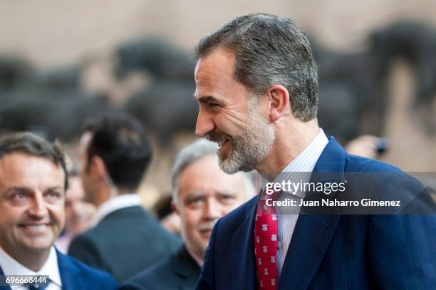 King Felipe VI of Spain attends Bullfights at Las Ventas Bullring on June 16, 2017 in Madrid, Spain.