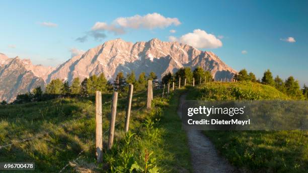 watzmann-ostwand bei sonnenaufgang - nationalpark berchtesgaden - berge bayern stock-fotos und bilder