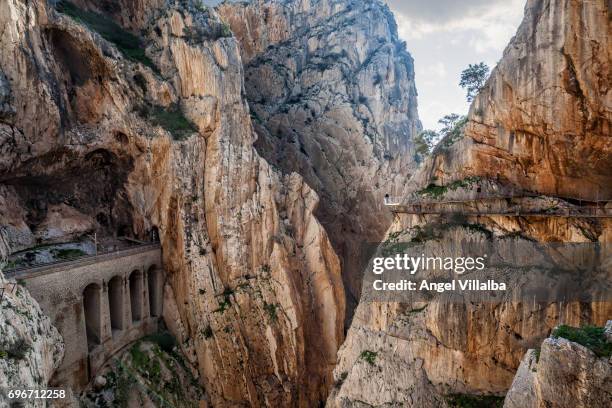 caminito del rey, gaitanes gorge - caminito del rey fotografías e imágenes de stock