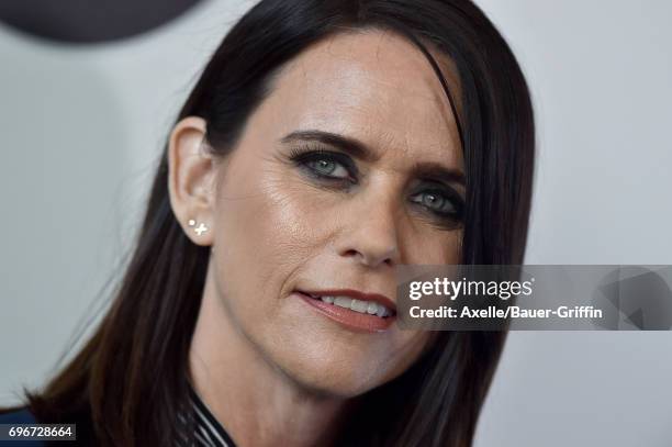 Actress Amy Landecker arrives at Women In Film 2017 Crystal + Lucy Awards at The Beverly Hilton Hotel on June 13, 2017 in Beverly Hills, California.