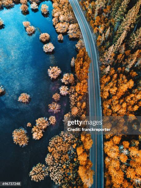 helicopter view of the pine forest along a lake - cold temperature color stock pictures, royalty-free photos & images