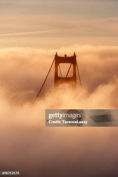 the golden gate bridge, san francisco, california in the fog at sunrise - golden gate bridge city fog stock-fotos und bilder