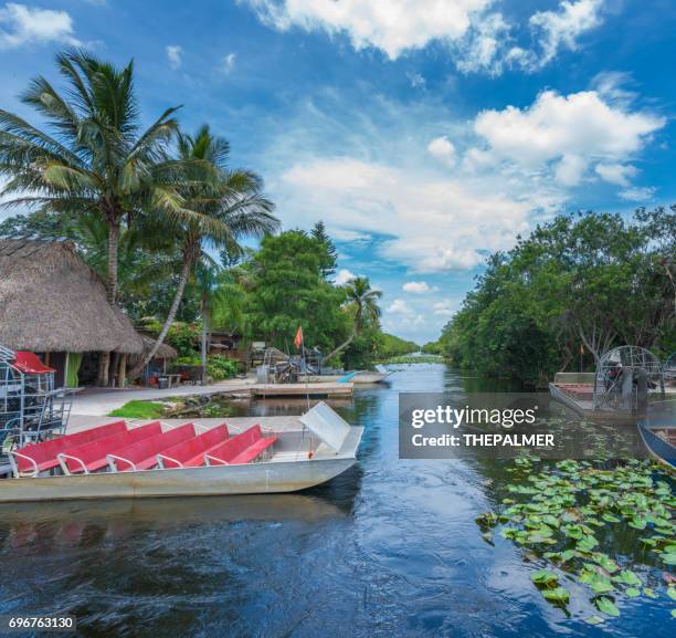 florida everglades usa - airboat stock pictures, royalty-free photos & images