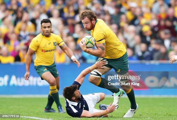 Scott Higginbotham of the Wallabies takes on the defence during the International Test match between the Australian Wallabies and Scotland at Allianz...