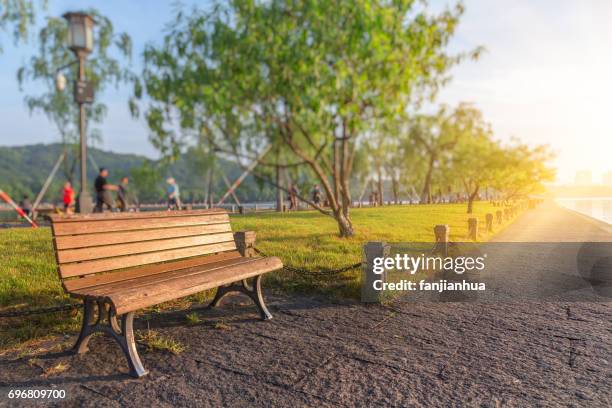 bench in a park on sunny day - panchina pubblica foto e immagini stock
