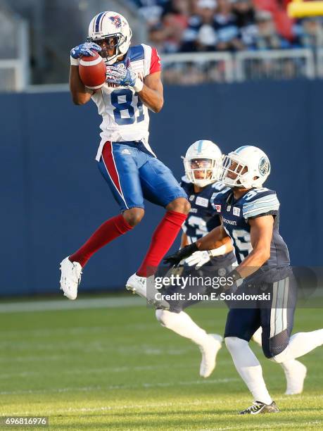 Bailey Stapleton 381 Devon Bailey Stock Photos, High-Res Pictures, and Images - Getty Images