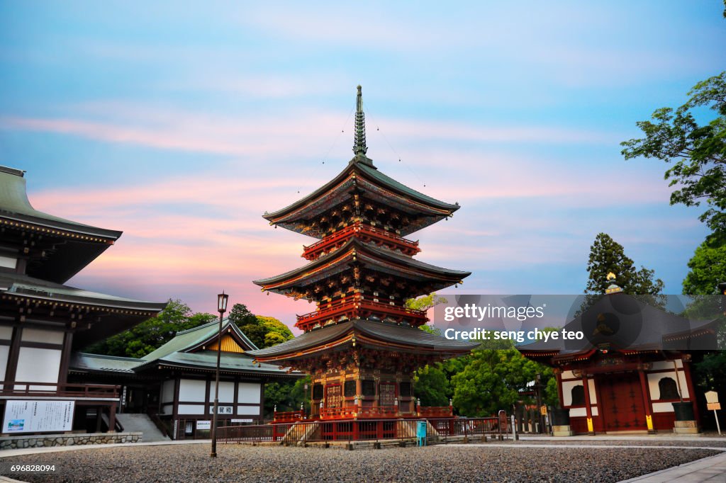 Japan Narita San