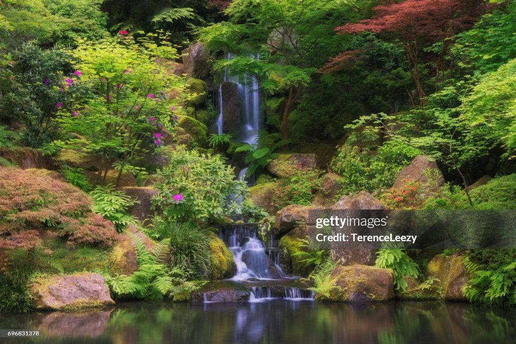 Spring Japanese Garden with Waterfall