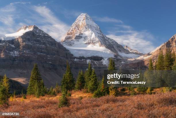 mt assiniboine in fall, canada - mont assiniboine photos et images de collection