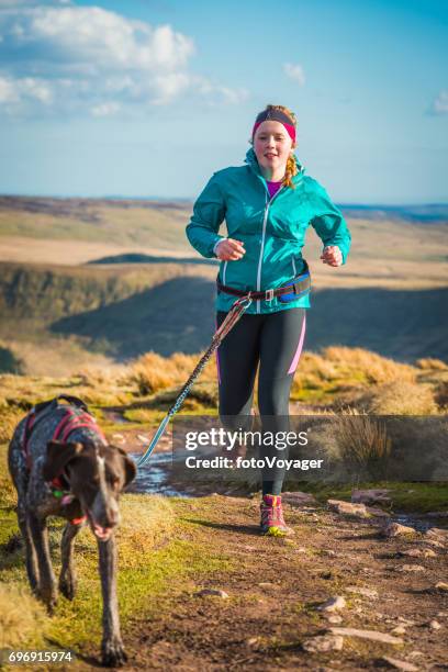 teenage woman trail running on mountain path with canicross dog - animal harness stock pictures, royalty-free photos & images