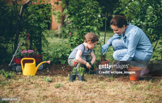 mother helping young boy in gardening and planting - mature woman and son imagens e fotografias de stock