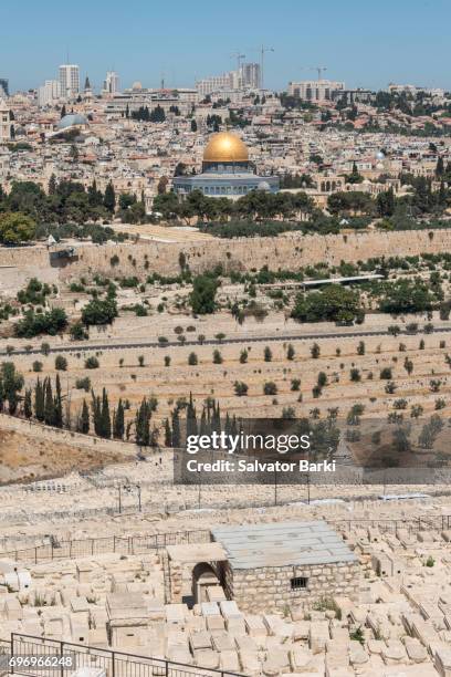 jerusalem - mount of olives stock-fotos und bilder