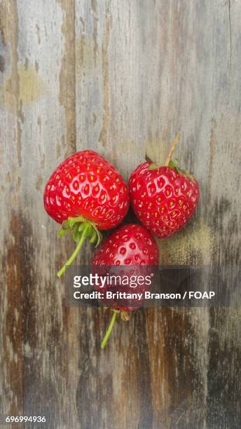 close-up of strawberries - brittany branson stock-fotos und bilder