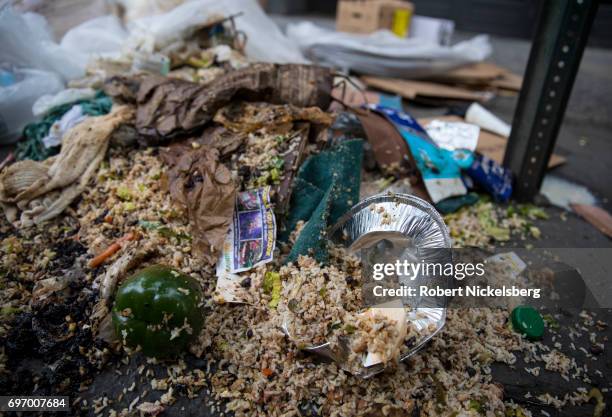 Garbage ripped open by rats sits in front of Chipotle's restaurant on Court Street June 16, 2017 in Brooklyn, New York. Numerous complaints about rat...