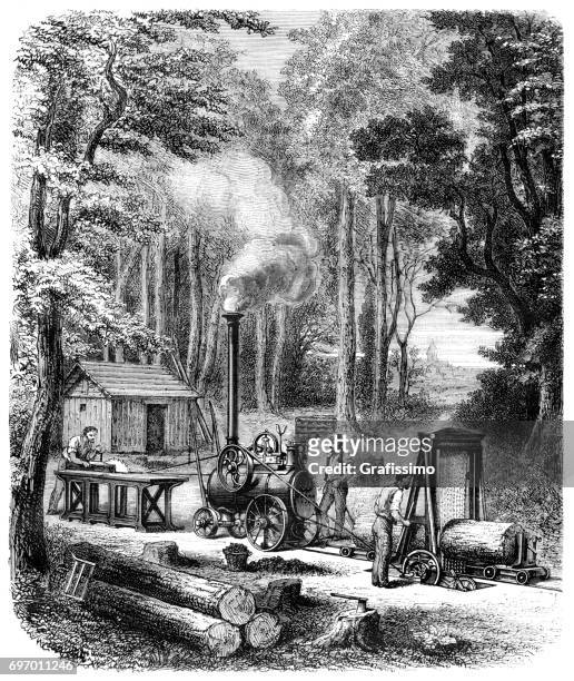 men lumberjack working in the forest - agroforestry stock illustrations