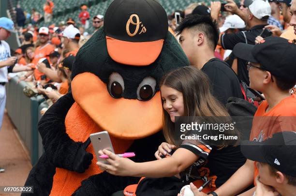 The Baltimore Orioles mascot takes a selfie with a fan before the game against the St. Louis Cardinals at Oriole Park at Camden Yards on June 17,...