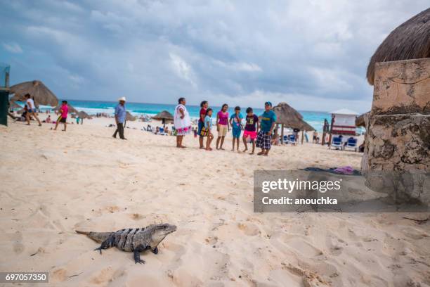 playa delfines beach in cancun, mexico - playa delfines stock pictures, royalty-free photos & images