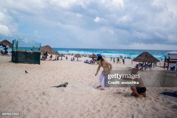 playa delfines beach in cancun, mexico - playa delfines stock pictures, royalty-free photos & images