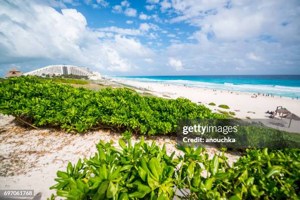 playa delfines beach in cancun, mexico - playa delfines stock pictures, royalty-free photos & images