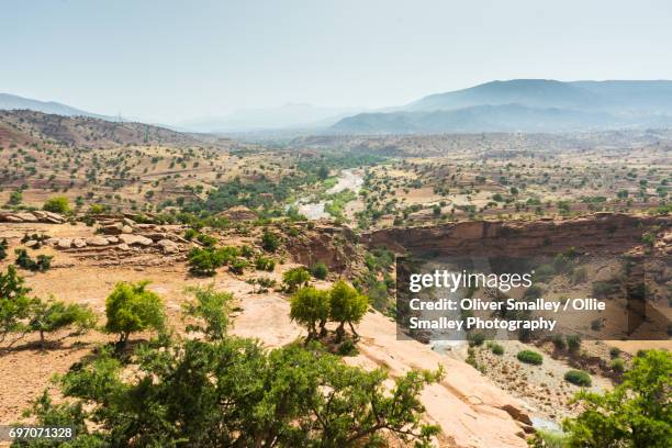 argana valley oasis - home of the argan tree - argana valley, morocco - argan photos et images de collection