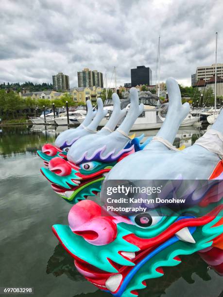 portland rose festival dragon boats - dragon boat festival bildbanksfoton och bilder