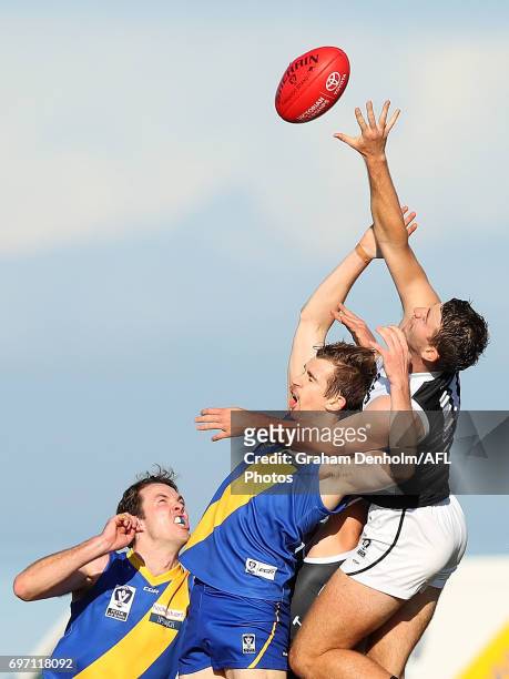 Brenton Payne of North Ballarat and Tim Currie of Williamstown contest the ball in the air during the round nine VFL match between Williamstown and...