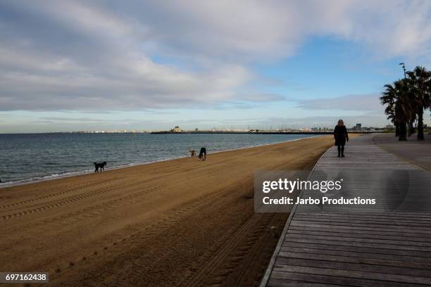 the boardwalk and beach front at st kilda melbourne - port phillip bay stock pictures, royalty-free photos & images