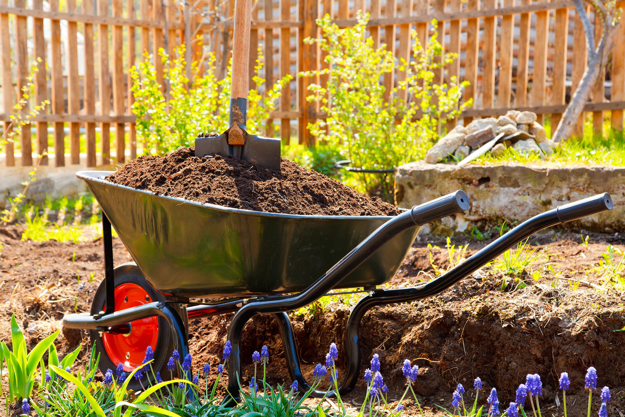 garden soil preparation
