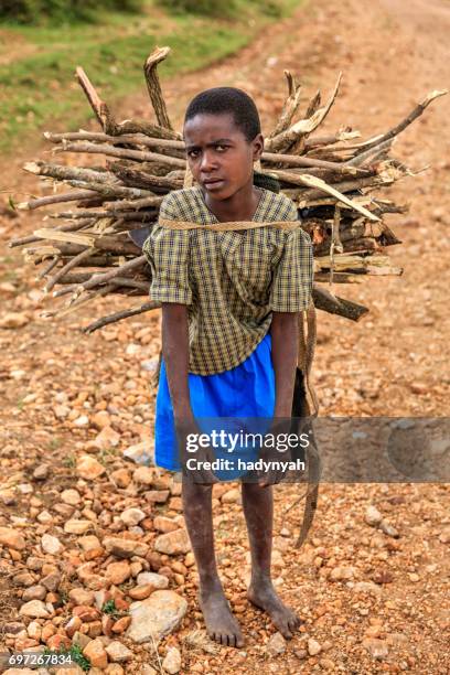 young african girl carrying brushwood, southern kenya, east africa - trabalho infantil imagens e fotografias de stock