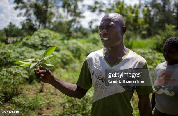 Kakamega County, Kenya Young farmers in Kakamega County on May 16, 2017 in Kakamega County, Kenya.