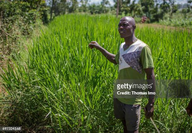 Young farmer stands on his field in Kakamega County on May 16, 2017 in Kakamega County, Kenya.