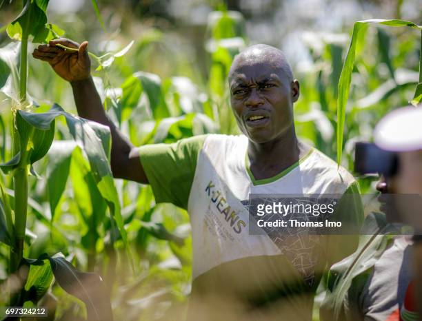Portrait of a young farmer on his field in Kakamega County on May 16, 2017 in Kakamega County, Kenya.