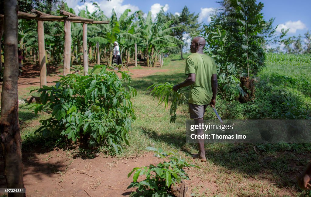 Farmer in Kenya