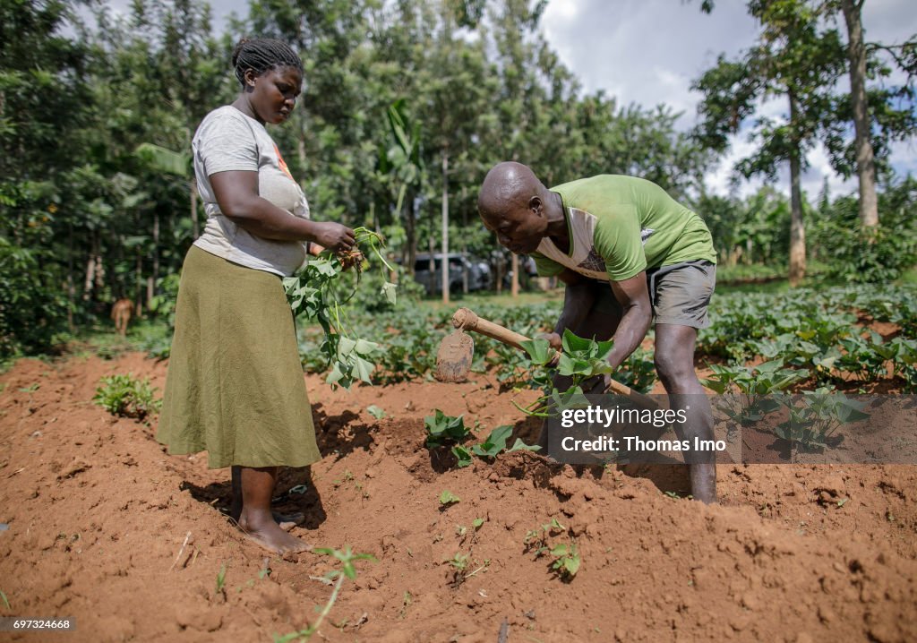 Farmers in Kenya