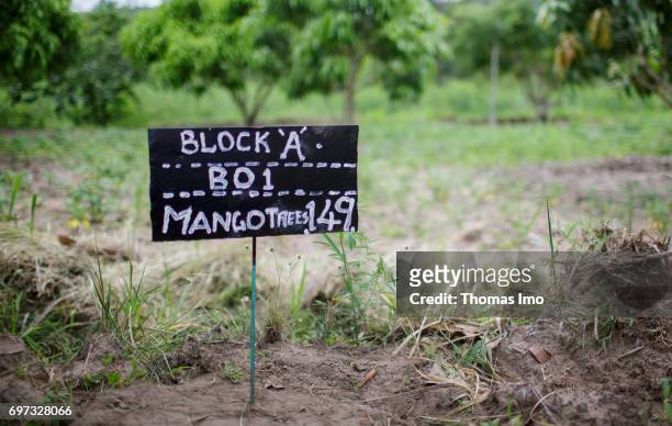 Ithanka, Kenya Handwritten information sign on a mango farm on May 19, 2017 in Ithanka, Kenya.