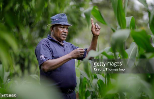 Ithanka, Kenya Portrait of an African farmer at his mango farm on May 19, 2017 in Ithanka, Kenya.