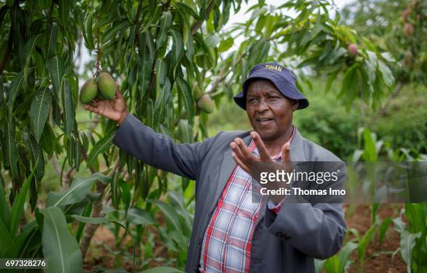 Portrait of an African farmer at his mango farm on May 19, 2017 in Ithanka, Kenya.