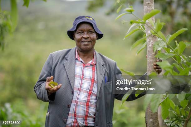 Ithanka, Kenya Portrait of an African farmer at his mango farm on May 19, 2017 in Ithanka, Kenya.